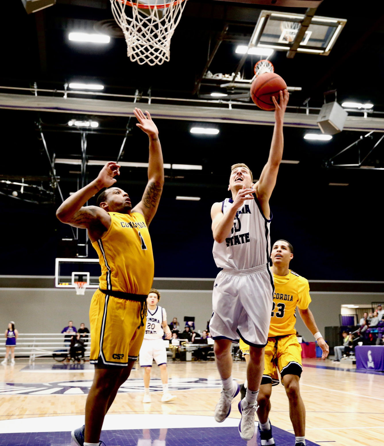 WSU MBB vs Concordia 12